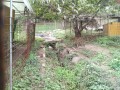 IMG_20261018_082413