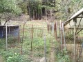IMG_20261018_082426