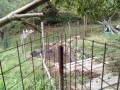 IMG_20261018_082440