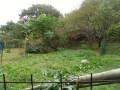 IMG_20261018_082442