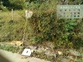 IMG_20261019_094059