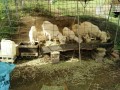 IMG_20261019_094525