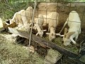 IMG_20261019_094533