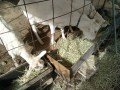 IMG_20261019_094541