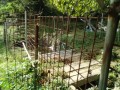 IMG_20261019_094607