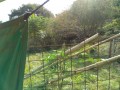IMG_20261019_094608