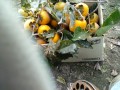 IMG_20261019_105511