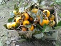 IMG_20261019_105513