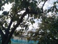 IMG_20261019_105520