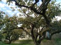 IMG_20261019_105522