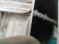 IMG_20261020_112630