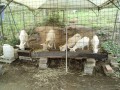 IMG_20261020_112831