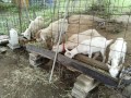 IMG_20261020_112836