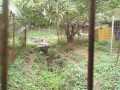 IMG_20261020_112849