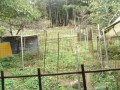 IMG_20261020_112858