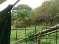 IMG_20261020_112930