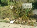 IMG_20261021_085111