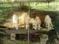 IMG_20261021_085241