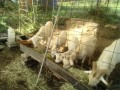 IMG_20261021_085248