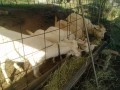 IMG_20261021_085303