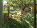 IMG_20261021_085309