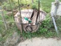 IMG_20261022_070501