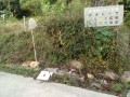 IMG_20261022_070504