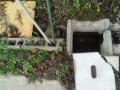 IMG_20261022_070509