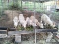 IMG_20261022_070831