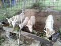 IMG_20261022_070837