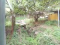 IMG_20261022_070848