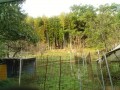 IMG_20261022_070856