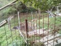 IMG_20261022_070907