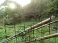 IMG_20261022_070909