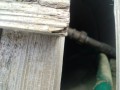 IMG_20261023_085753