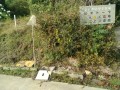 IMG_20261023_085802