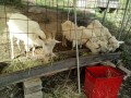 IMG_20261023_091004