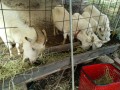 IMG_20261023_091024
