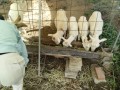 IMG_20261023_091042