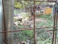 IMG_20261023_091050