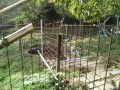 IMG_20261023_091124