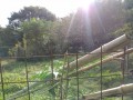 IMG_20261023_091126