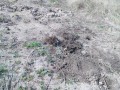 IMG_20261023_104731
