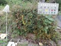 IMG_20261024_085016