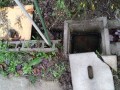 IMG_20261024_085022