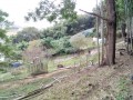 IMG_20261024_104643