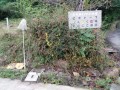 IMG_20261025_085724