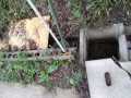 IMG_20261025_085730