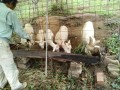 IMG_20261025_093755