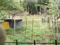 IMG_20261025_093824